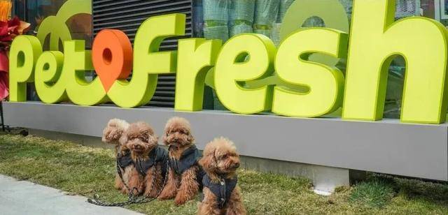 “宠物版盒马”将关闭所有门店！不朽情缘网站线下开业不到一年(图2)