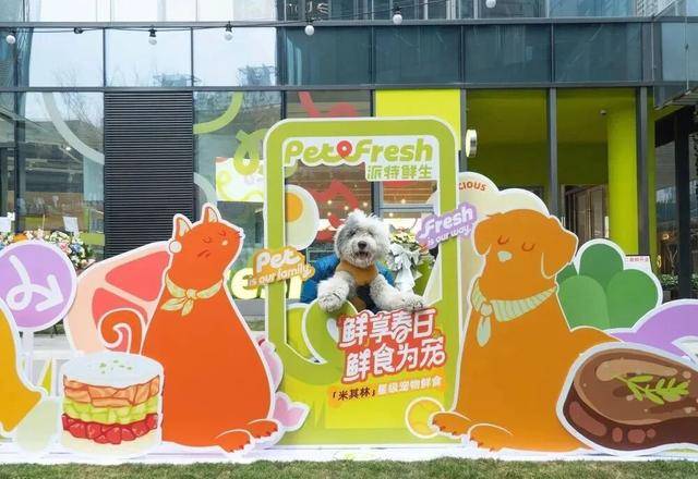 “宠物版盒马”将关闭所有门店！不朽情缘网站线下开业不到一年(图3)
